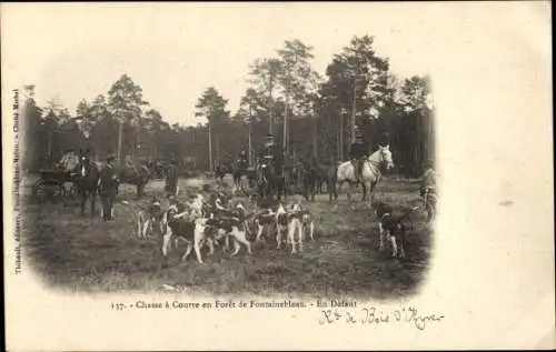 Ak Foret de Fontainebleau Seine et Marne, Jagd, In Verzug, Hunde