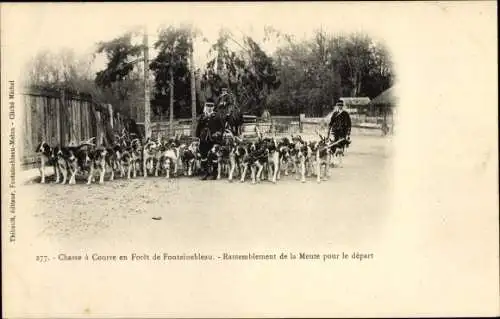 Ak Wald von Fontainebleau Seine et Marne, Jagd, Zusammenkunft des Rudels