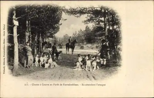 Ak Foret de Fontainebleau Seine et Marne, Jagd, Warten auf den Angriff, Hunde