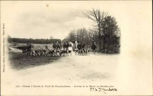 Ak Foret de Fontainebleau Seine et Marne, Jagd, Rudel, Hunde