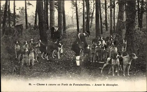 Ak Wald von Fontainebleau Seine et Marne, Jagd, vor der Entkopplung
