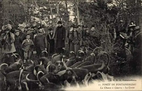 Ak Foret de Fontainebleau Seine et Marne, Jagd, La Curee, Hunde