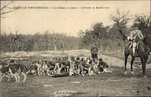 Ak Wald von Fontainebleau Seine et Marne, Jagd, La Curee, Hunde