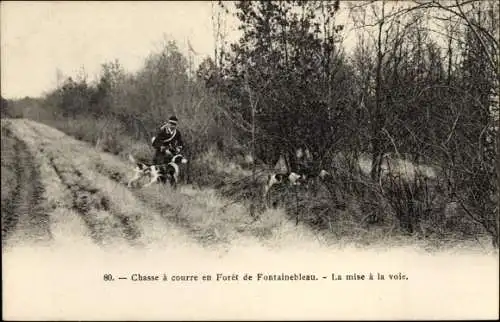 Ak Foret de Fontainebleau Seine et Marne, Jagd, Fährtensuche