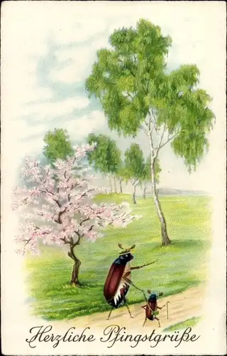 Ak Glückwunsch Pfingsten, Maikäfer, Blühender Baum, Birke