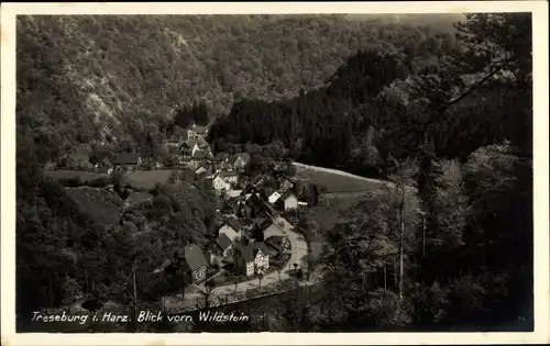 Ak Treseburg Thale im Harz, Blick vom Wildstein, Bodetal