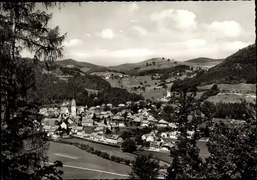 Ak Schönau im Schwarzwald, Panorama