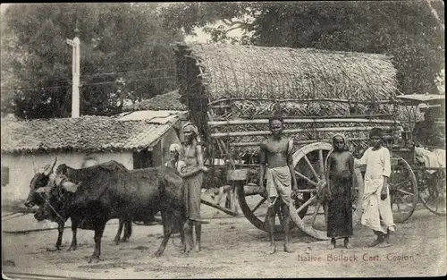Ak Ceylon Sri Lanka, Ochsenkarren, Eingeborene
