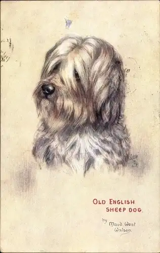 Künstler Ak West Watson, Maud, Old English Sheep Dog, Sketches of Doggies