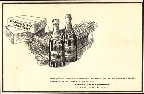 AK Portugal, Lamego, Caves da Raposeira