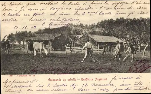 Ak Argentinien, Pferd wird mit einem Lasso gefangen