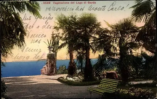 Ak Lago di Garda Veneto, Vegetazione