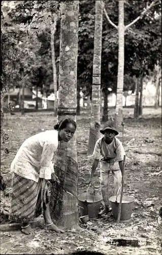 Foto Ak Malaysien, Frau und Kind gewinnen Kautschuk am Baum