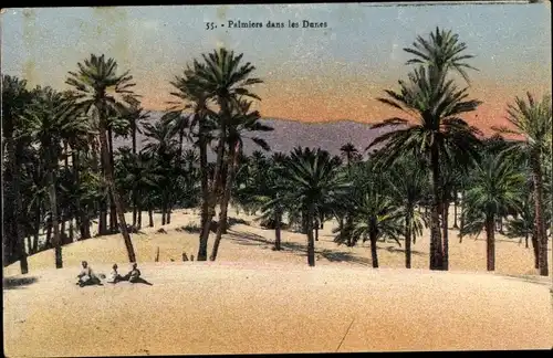 Ak Algerien, Palmiers dans les Dunes, Dämmerung