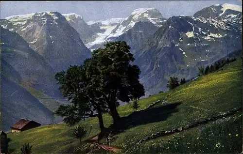 Ak Braunwald Kanton Glarus, Tödigruppe, Sommer, Baum