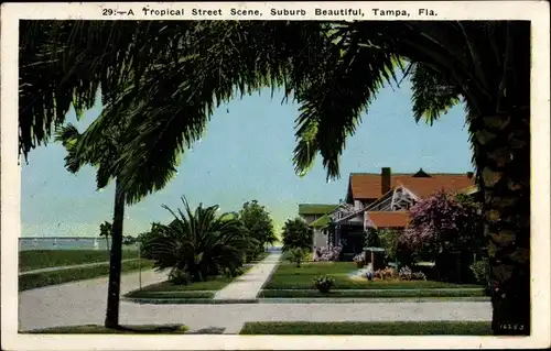 Ak Tampa Florida USA, tropische Straßenszene, wunderschöner Vorort