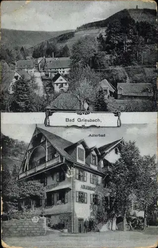 Ak Bad Griesbach im Schwarzwald, Teilansicht, Adlerbad