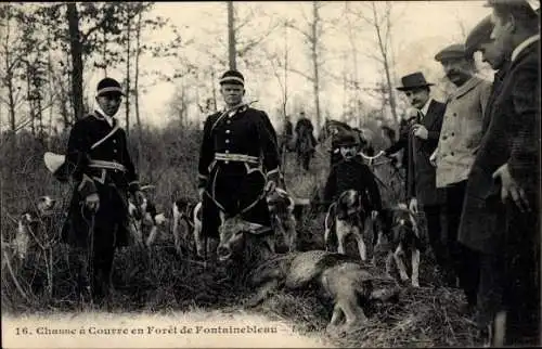 Ak Fontainebleau Seine et Marne, Waldjagd