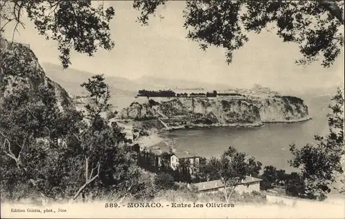Ak Monaco, Zwischen den Olivenbäumen