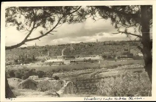 Ak Jerusalem Israel, Gesamtansicht, Ölberg