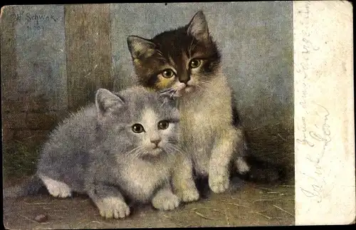 Künstler Ak Kätzchen, Zwei junge Katzen