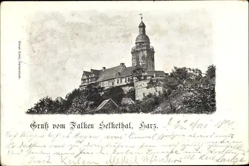 Ak Falkenstein im Harz, Burg, Selketal, Gruß vom Falken