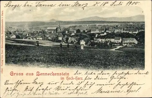 Ak Benneckenstein Oberharz, Panorama