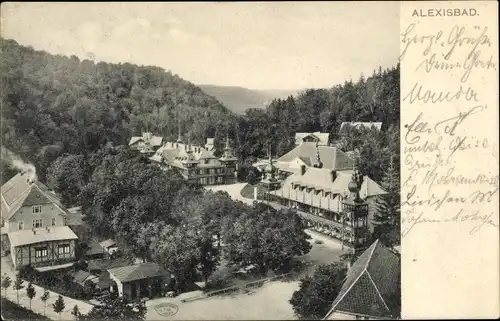 Ak Alexisbad Harzgerode im Harz, Teilansicht