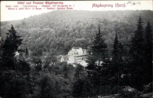 Ak Mägdesprung Harzgerode am Harz, Hotel und Pension Mägdesprung