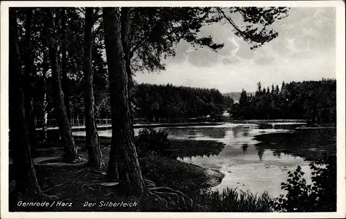 Ak Gernrode Quedlinburg im Harz, Silberteich