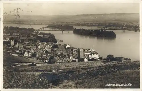 Ak Rüdesheim am Rhein, Panorama, Brücke