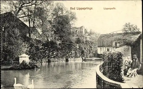 Ak Bad Lippspringe in Westfale, Lippequelle