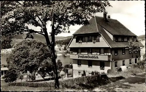 Ak Schluchsee im Schwarzwald, Pension Seeblick