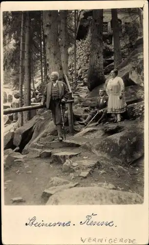 Foto Ak Wernigerode am Harz, Steinerne Renne, Wanderer