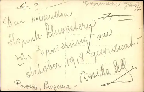 Foto Ak Portrait einer Frau, Variete