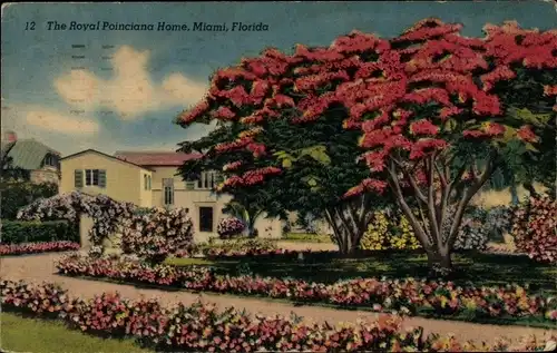 Ak Miami Beach Florida USA, The Royal Poinciana Home