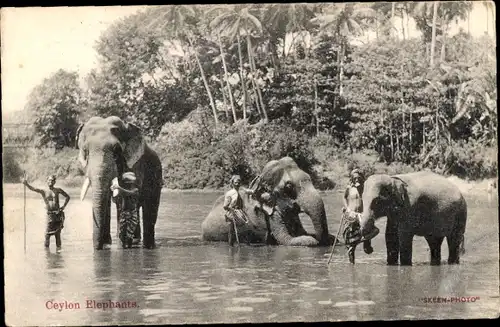 Ak Sri Lanka, Bathing elephants, Elefanten, Flusspartie