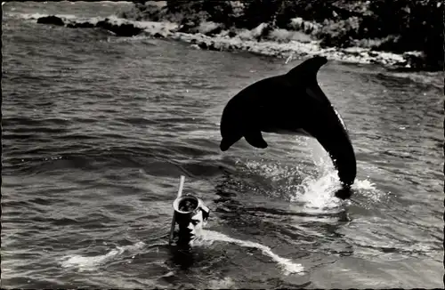 Ak Schauspieler, Delphin Flipper