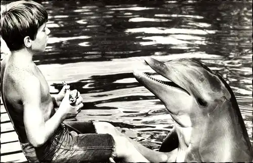 Ak Schauspieler, Delphin Flipper