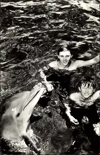 Ak Schauspieler, Delfin Flipper