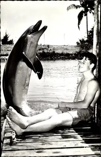 Ak Schauspieler, Delfin Flipper