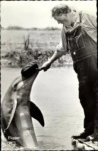 Ak Schauspieler, Delfin Flipper