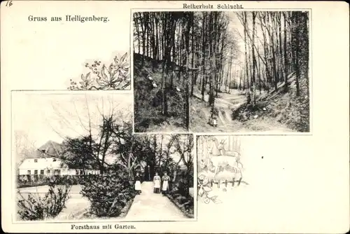 Ak Heiligenberg Bruchhausen Vilsen Niedersachsen, Forsthaus, Reiherholz-Schlucht