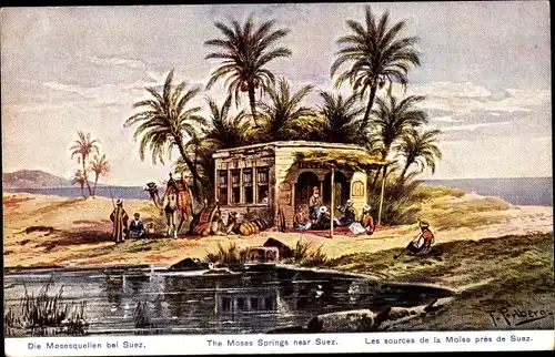 Künstler Ak Perlberg, F., Suez Ägypten, Die Mosesquellen, les sources de la Moise, Palmen, Kamel