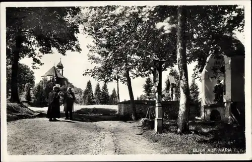 Ak Siegsdorf in Oberbayern, Kloster Maria Eck