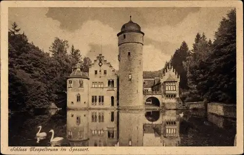 Ak Mespelbrunn im Spessart Unterfranken, Schloss, Teich