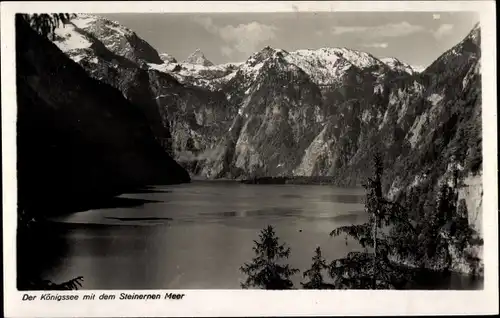 Ak Königsee Königssee Oberbayern, Steinernes Meer