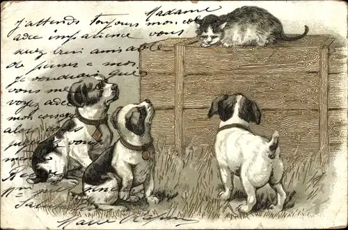 Litho Katze auf einer Holzkiste, drei junge Hunde
