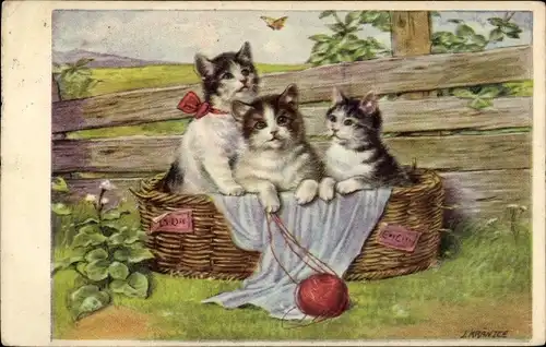 Künstler Ak Drei getigerte Katzen in einem Korb, Wollknäul, BKWI 545-1