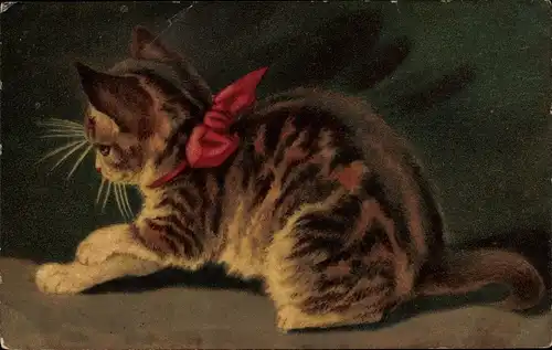 Künstler Ak Junge getigerte Katze, rote Schleife